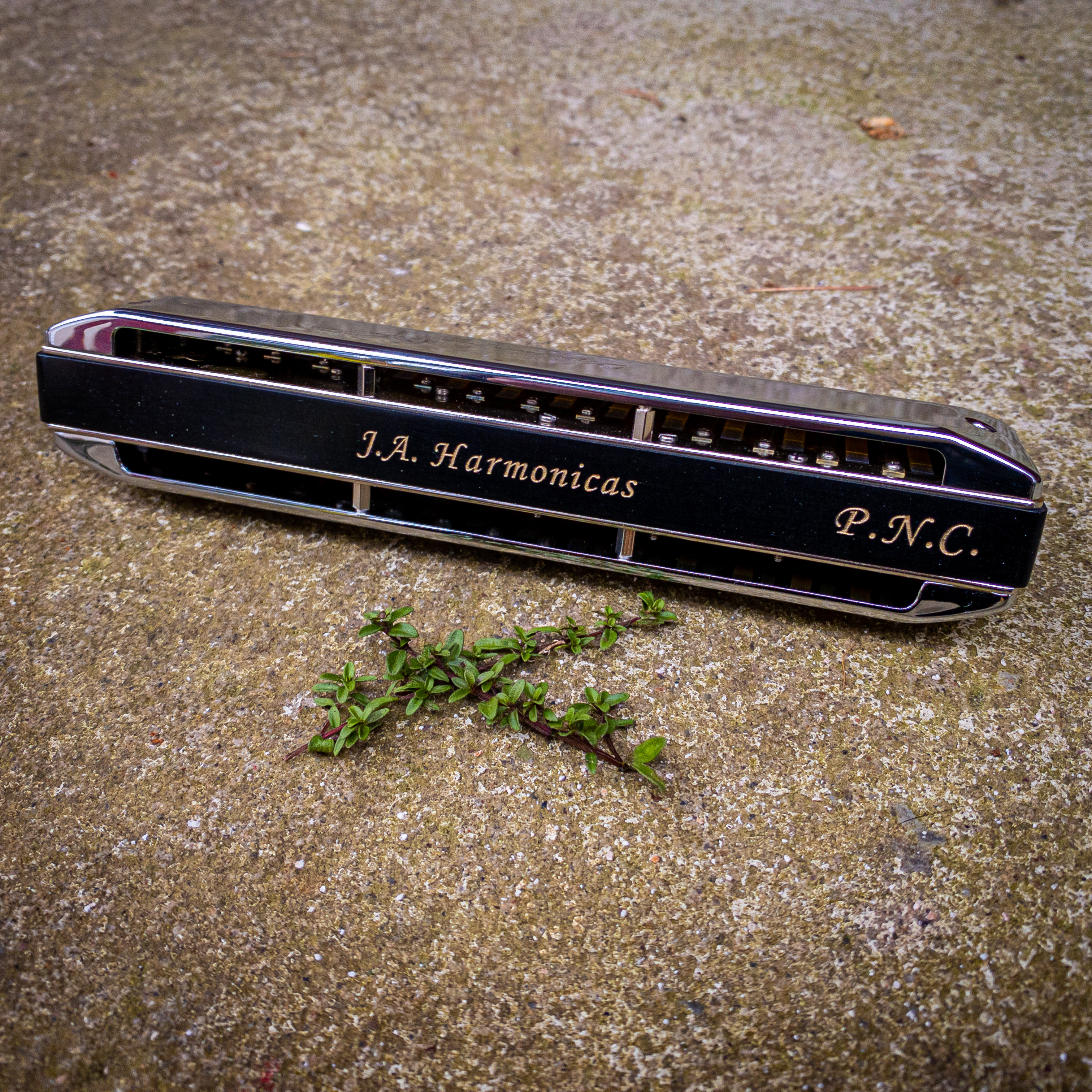 Best harmonicas 2020 cheap